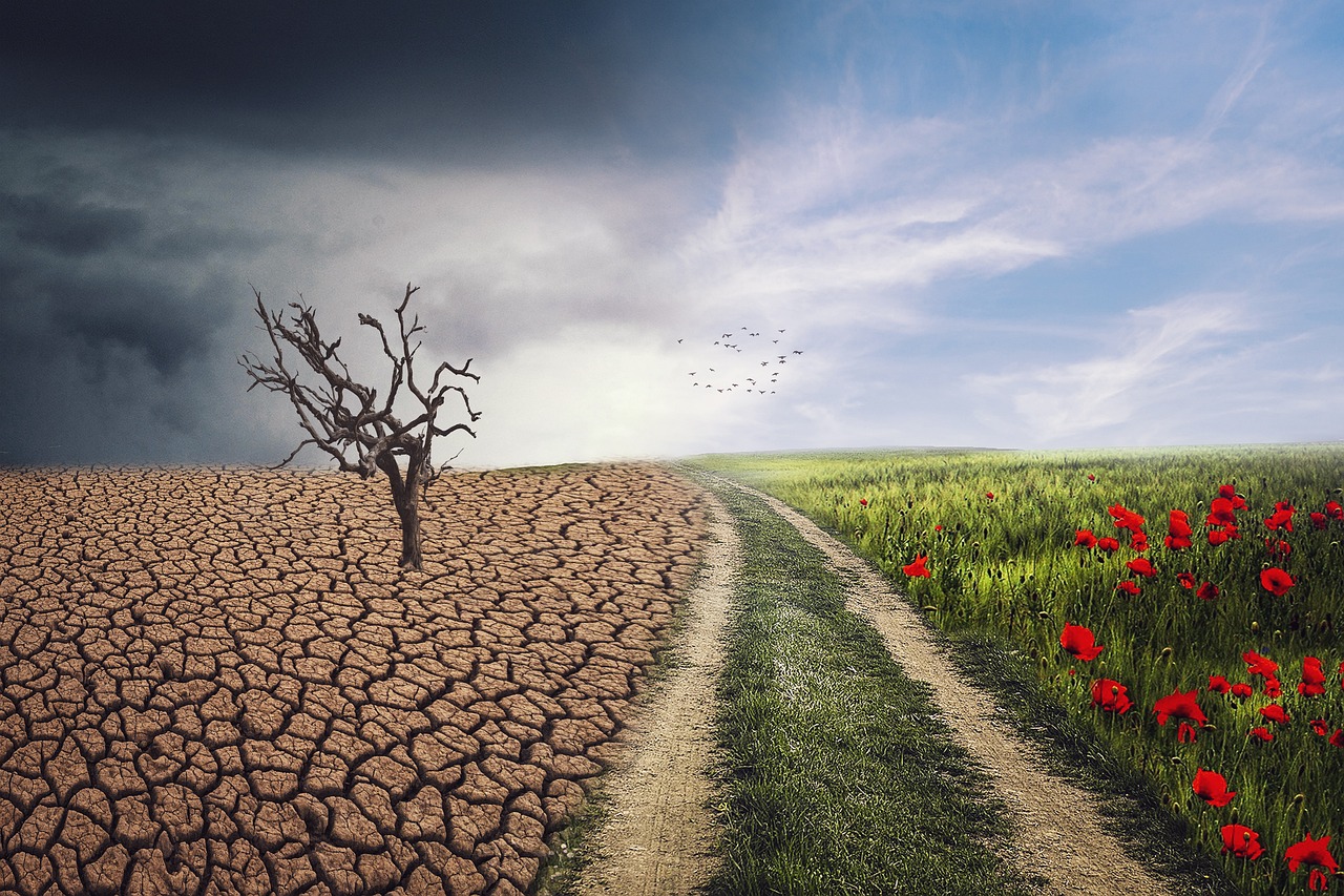 pxclimateaction, nature, climate, landscape, storm, field, dry so, climate change, darling, clouds